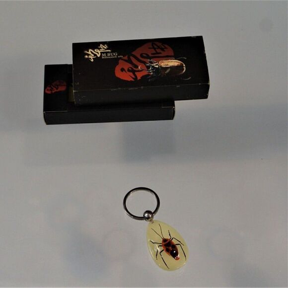 Bug Insect Keychain Nanning Millennium Arts M Real Bug See Through Key Ring - Picture 6 of 7